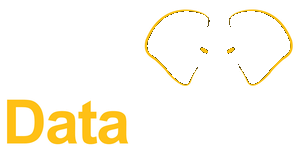 DataMetis