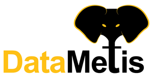 DataMetis